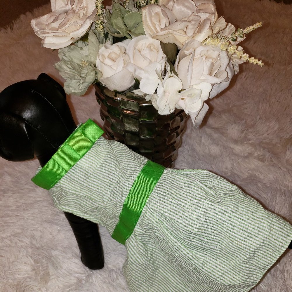 Green & White Stripes (Small Dog Dress)